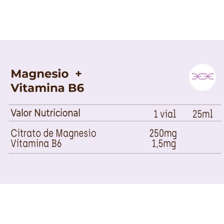 kobho Magnesio y vitamina B6 20 viales